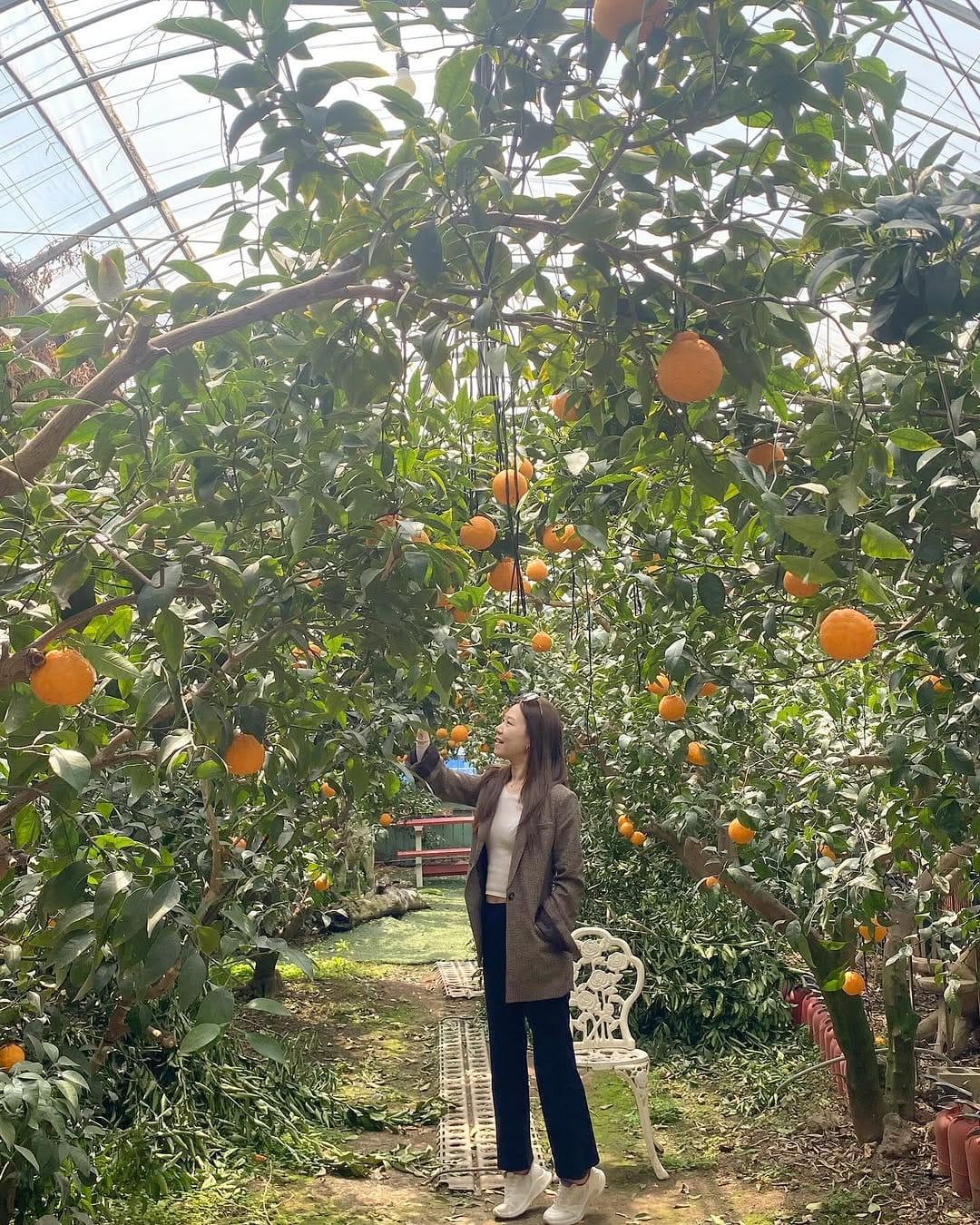 Post 4 by 윤정 Yoon | Travel Blogger on Instagram (carousel)