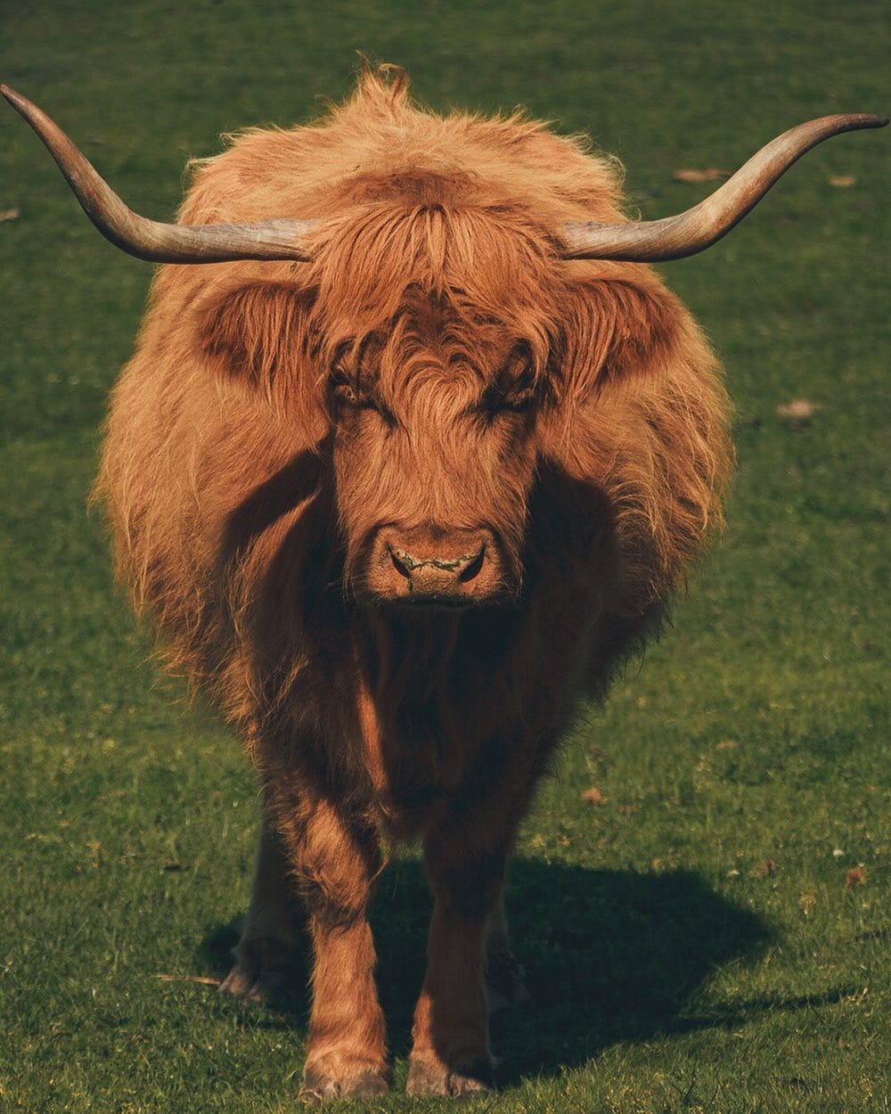 Post 8 by Eoin O'Meara - Ireland 🇮🇪 on Instagram (image)