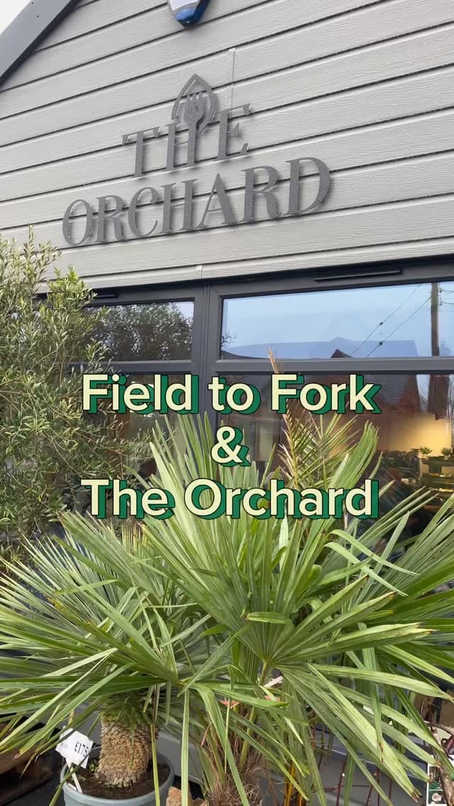 Post 1 by Food | Pop Ups | Family Activities | Travel on Instagram (video)