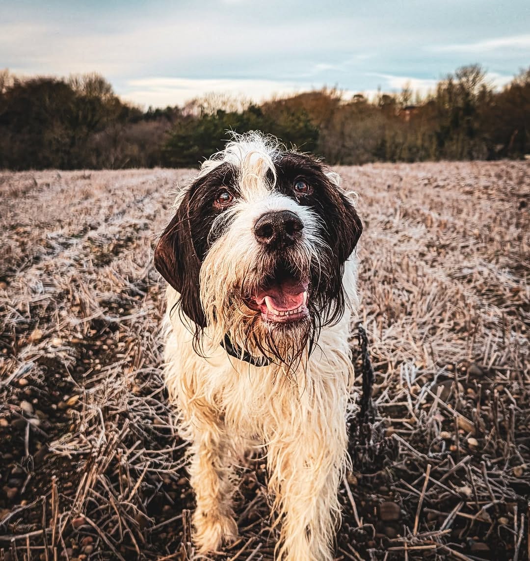 Post 1 by Paul Steele on Instagram (image)