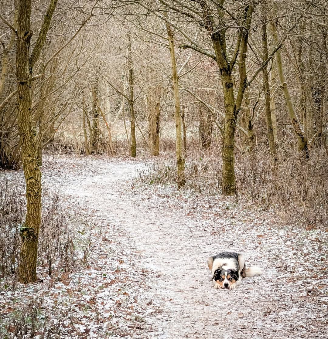 Post 4 by Paul Steele on Instagram (image)