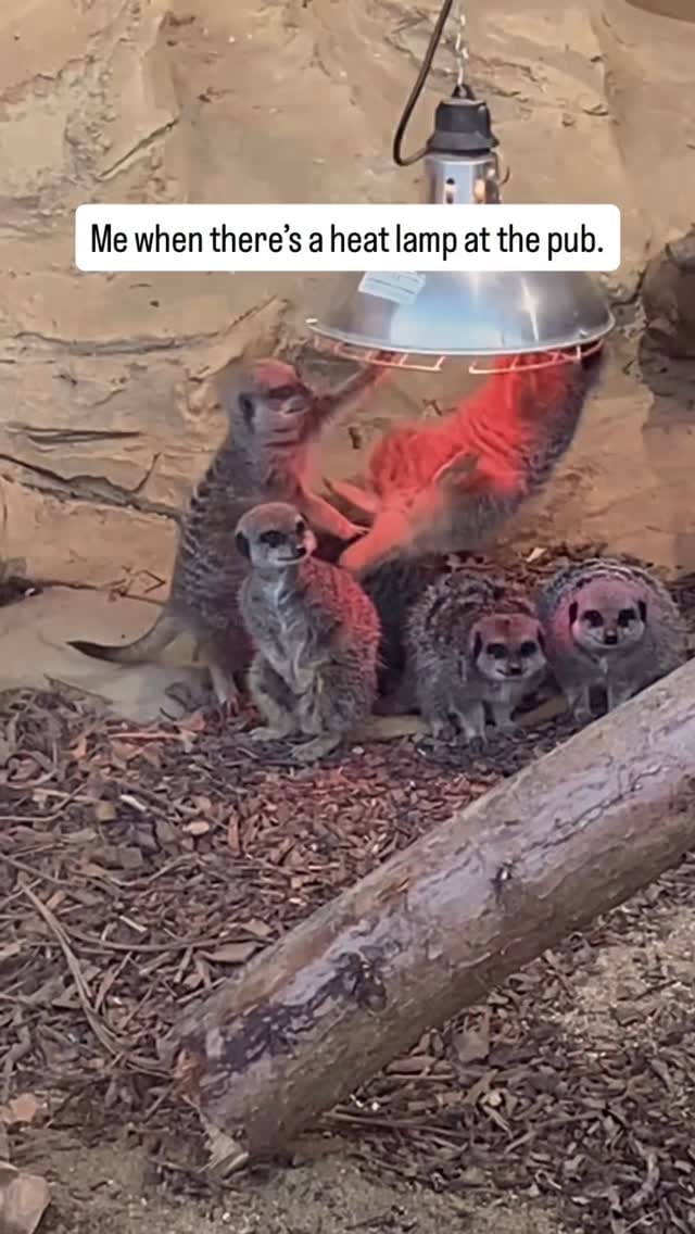 Post 3 by Stephanie Meadows | Nature Content Creator on Instagram (video)