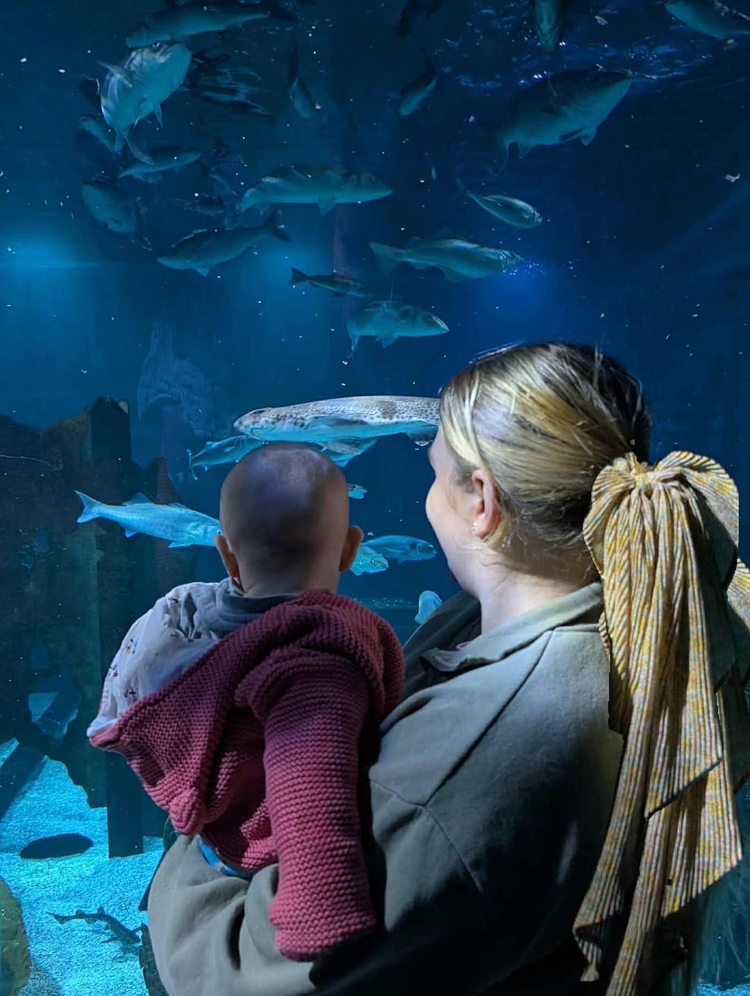Post 6 by Stephanie Meadows | Nature Content Creator on Instagram (carousel)