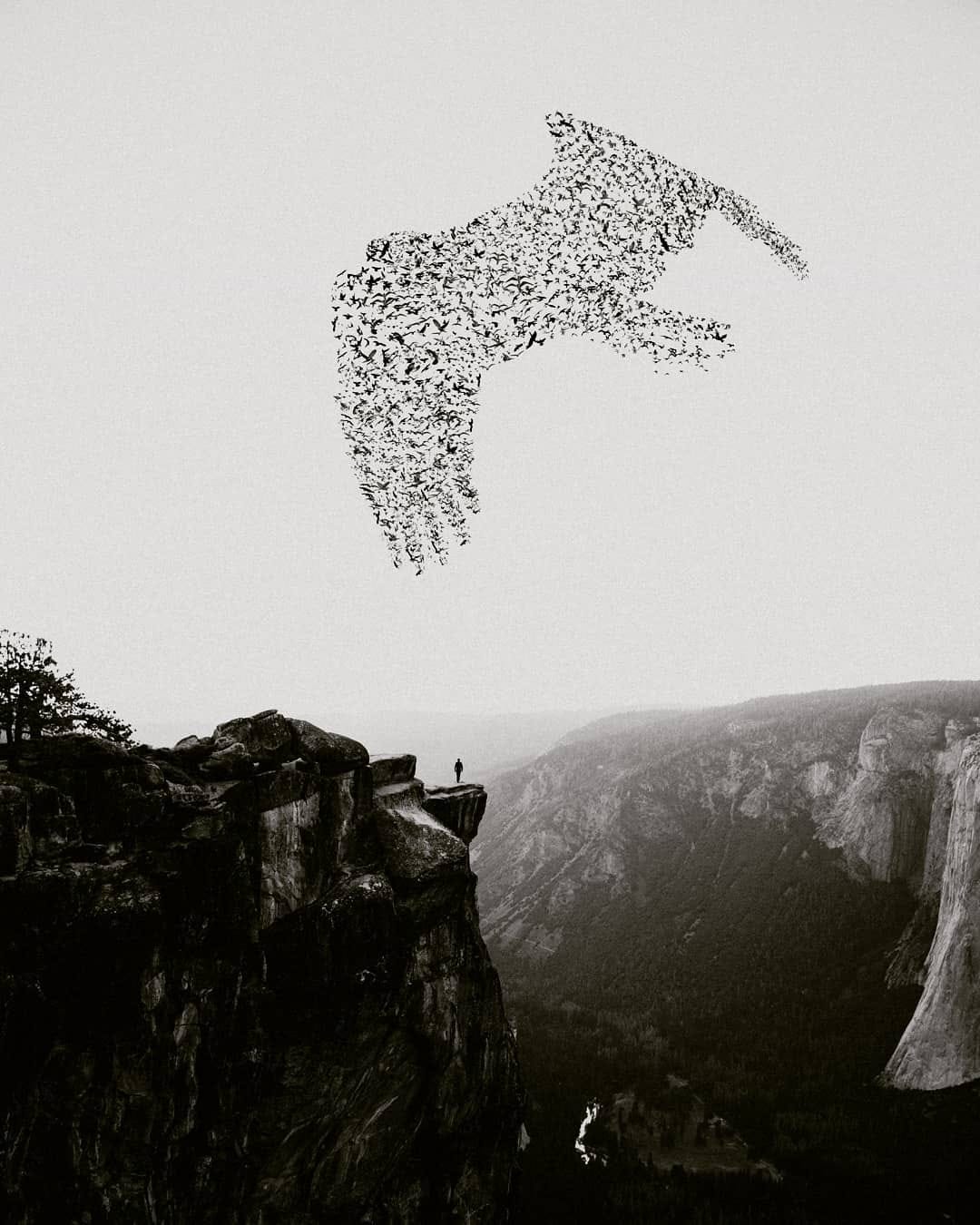 Post 6 by Luise Bottin on Instagram (image)