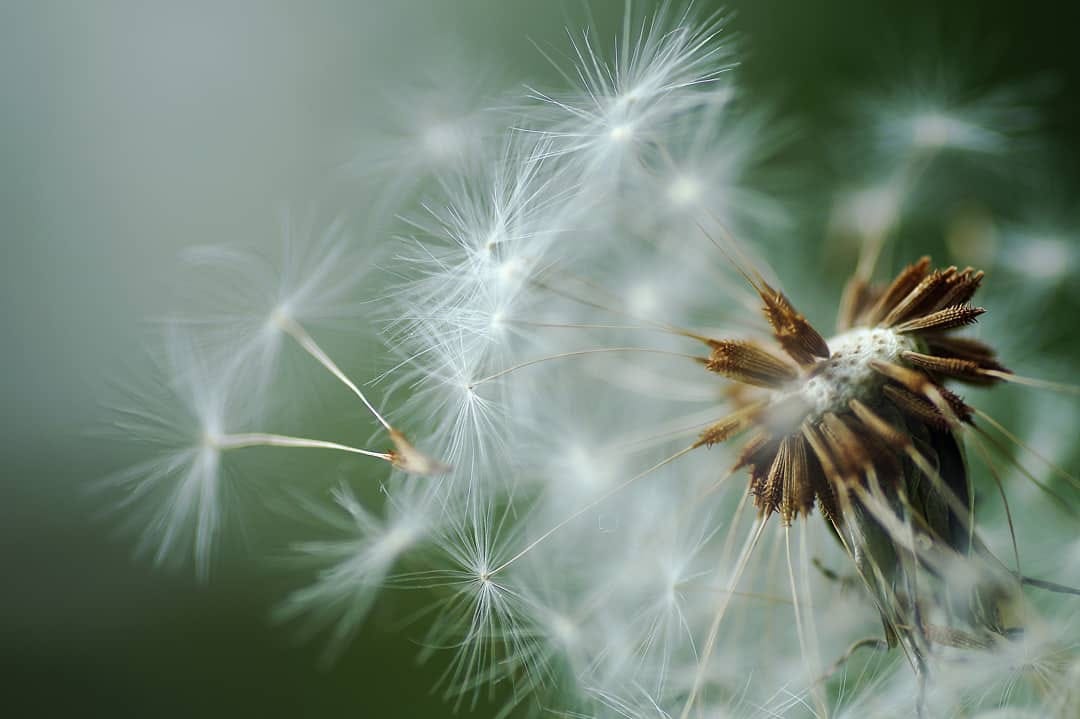 Post 10 by Luise Bottin on Instagram (image)