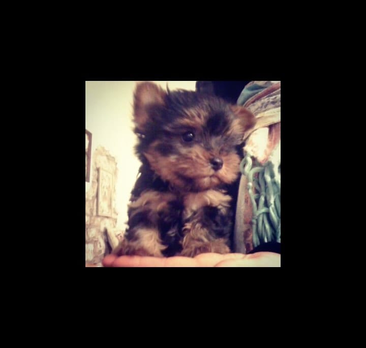 Post 9 by Georgia Lewis on Instagram (video)