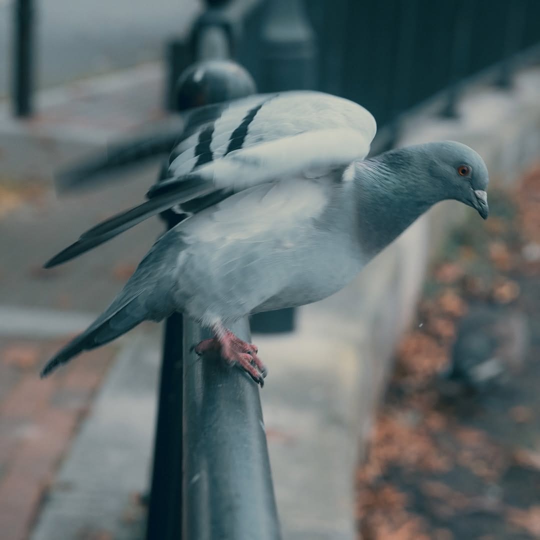 Post 2 by X4leem Visuals on Instagram (carousel)