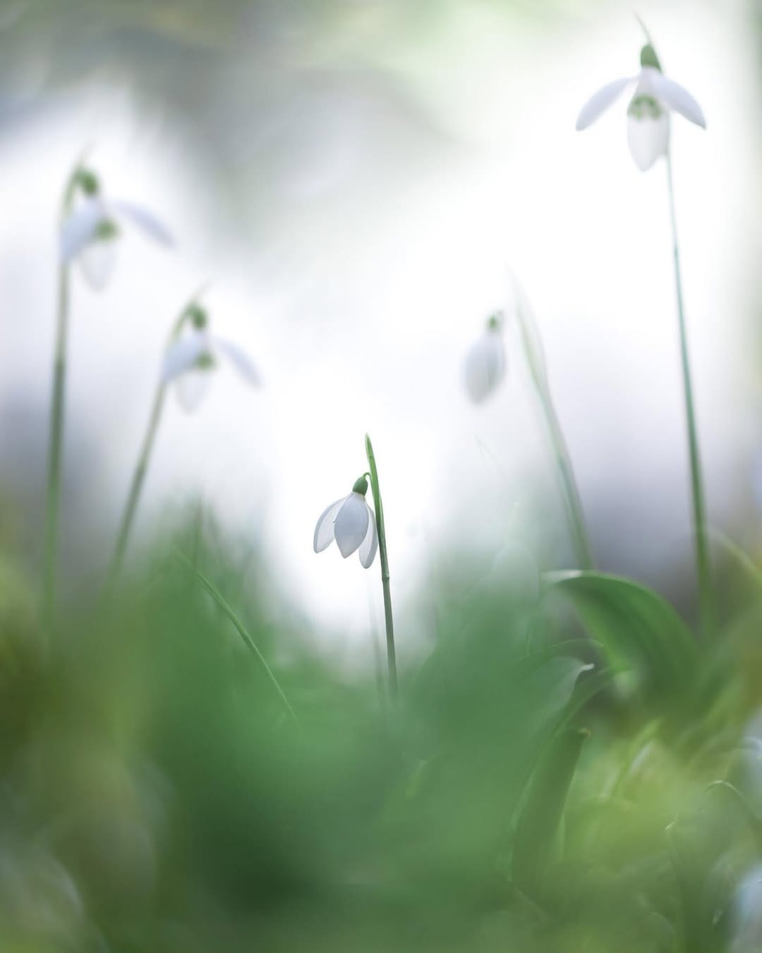 Post 9 by Sem Viersen on Instagram (image)