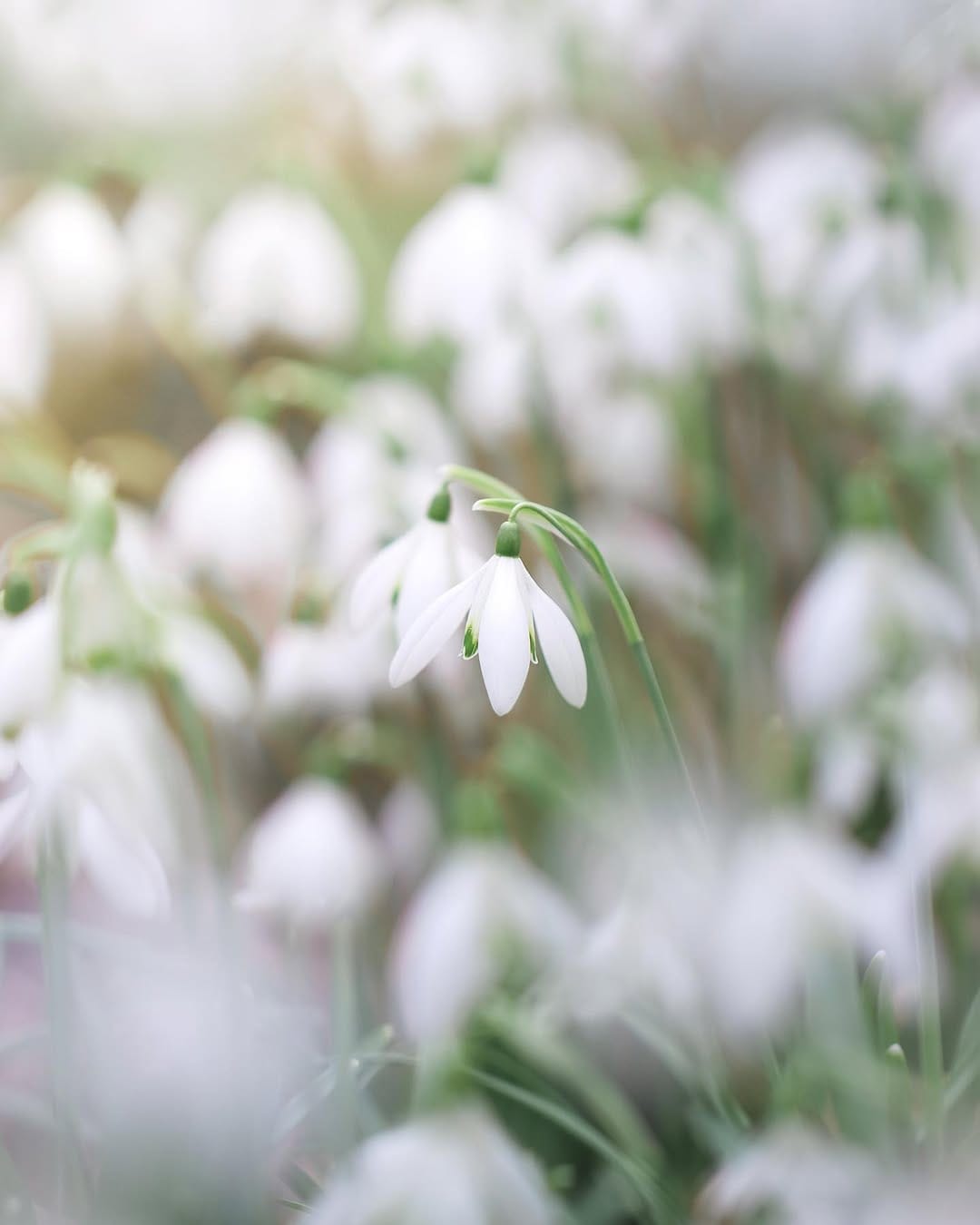 Post 3 by Sem Viersen on Instagram (image)