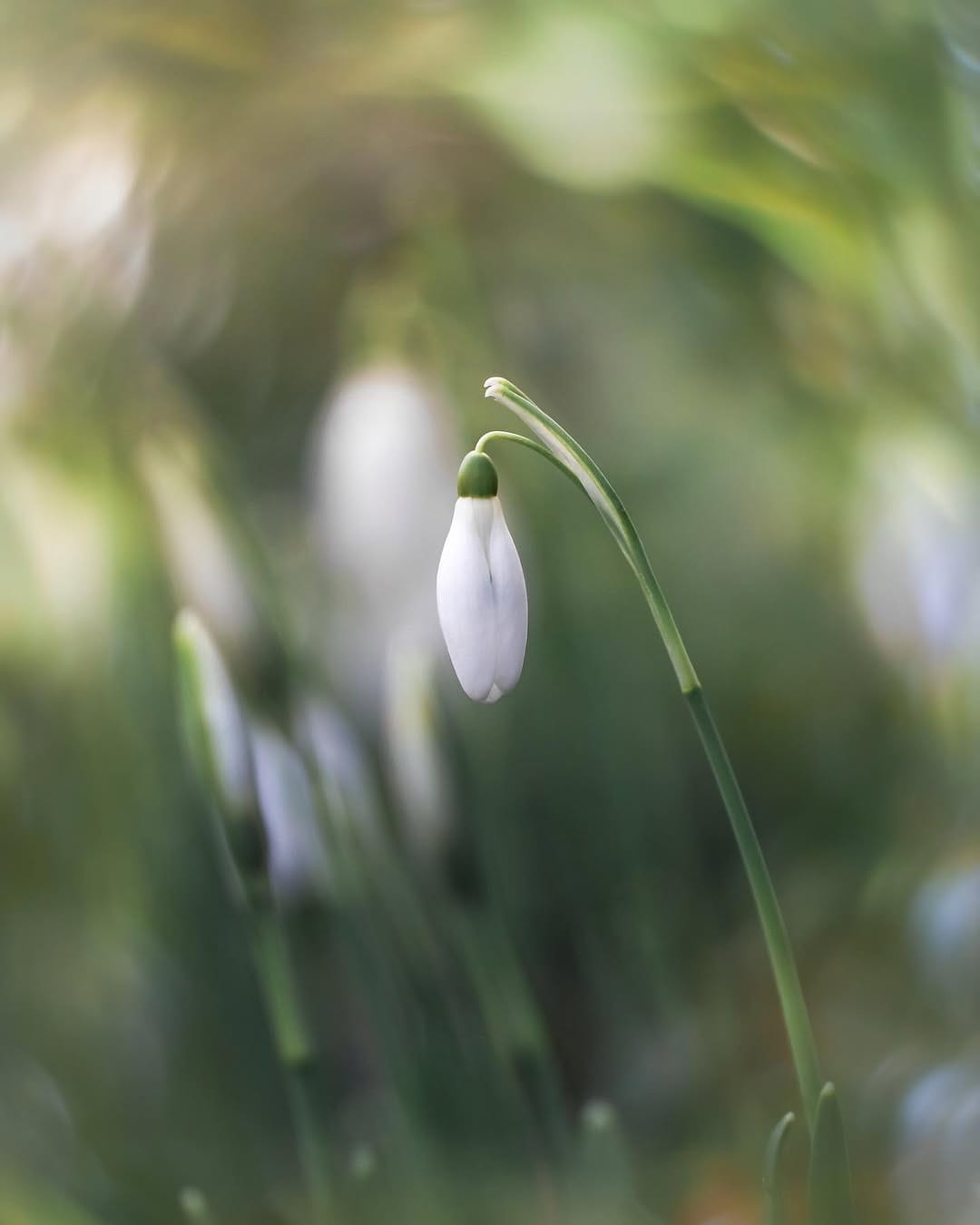 Post 7 by Sem Viersen on Instagram (image)
