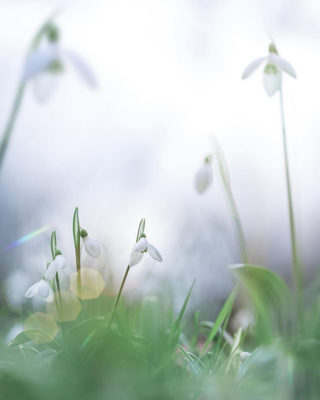Post 8 by Sem Viersen on Instagram (image)
