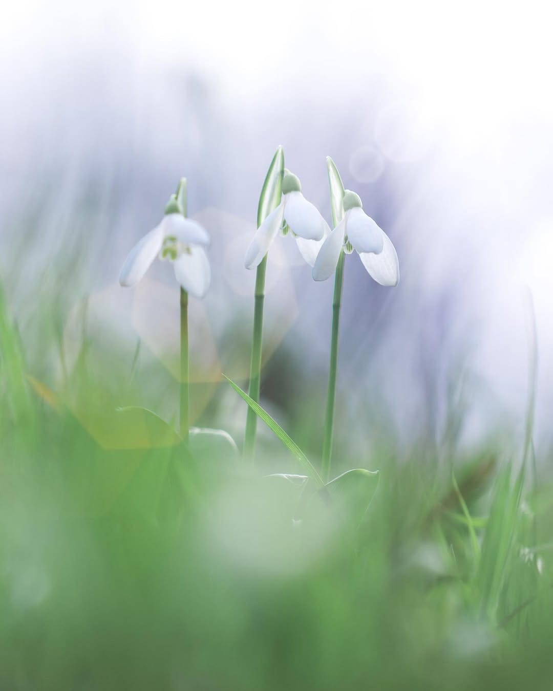 Post 10 by Sem Viersen on Instagram (image)