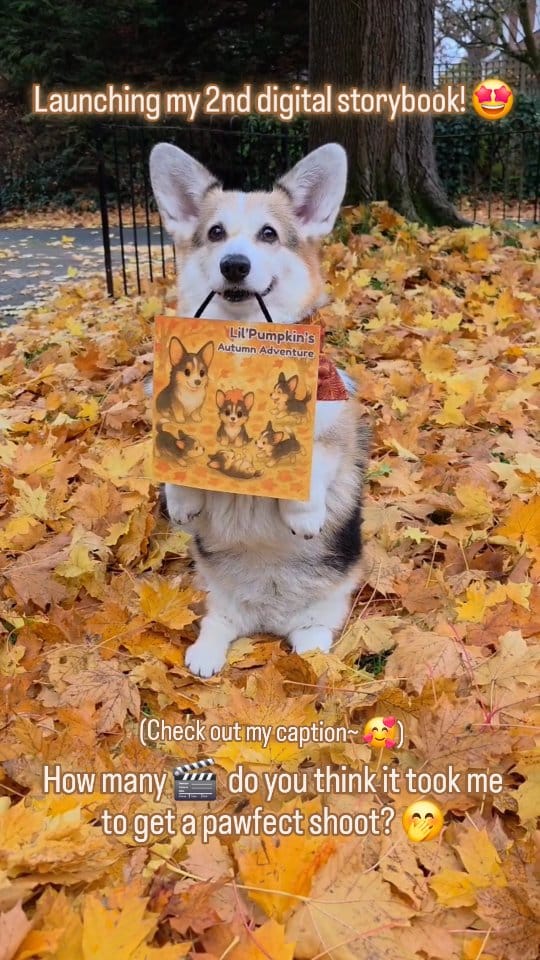Post 6 by Lil' Pumpkin 🎃🎃 on Instagram (video)