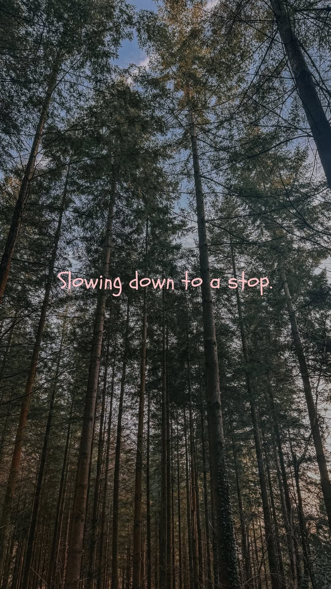 Post 5 by Lou Smith | Motherhood, Activities, Cotswolds on Instagram (video)