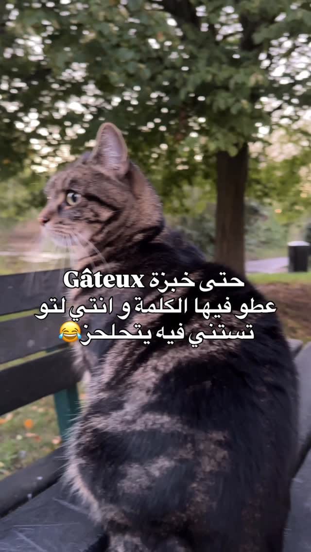 Post 3 by 🪬Aymen || أيمن🪬 on Instagram (video)