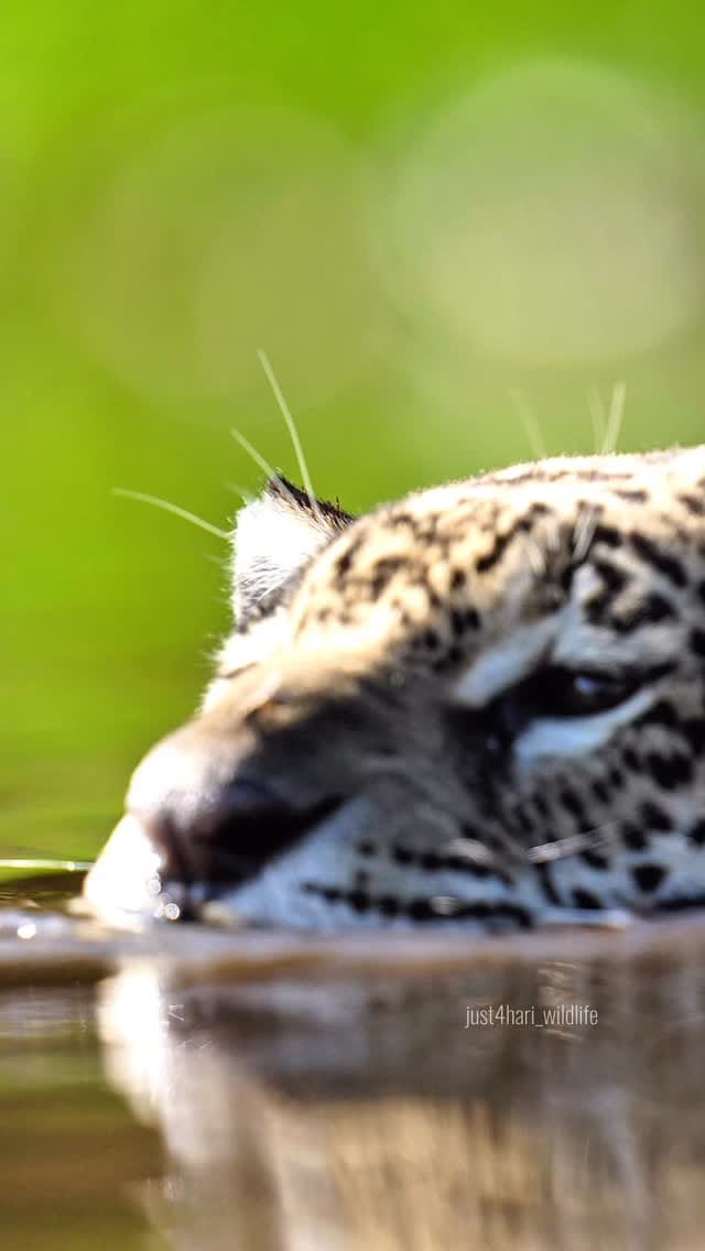 Post 4 by Hari Photography on Instagram (video)