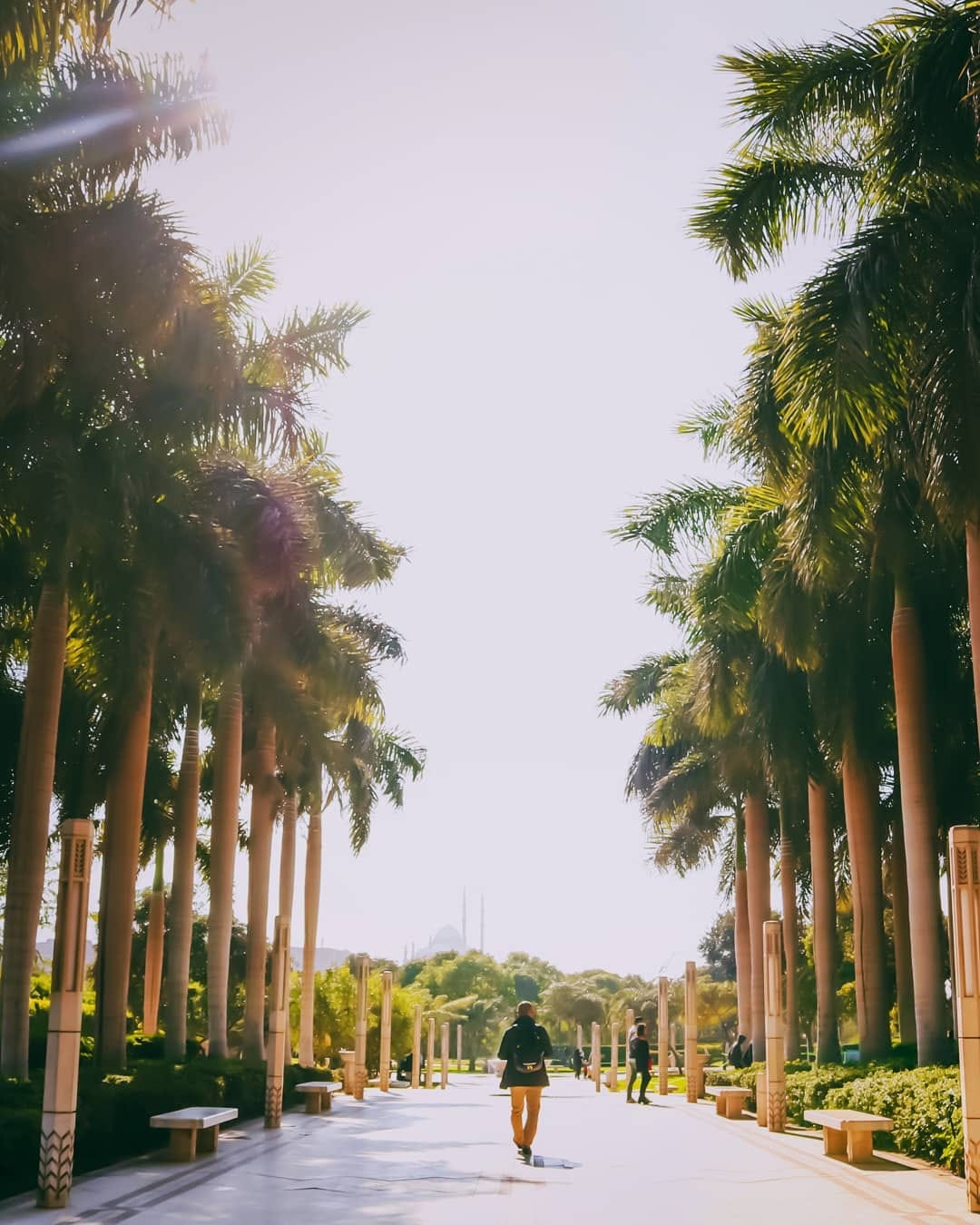 Post 6 by Mr T - Travel | Photography 📸 on Instagram (image)