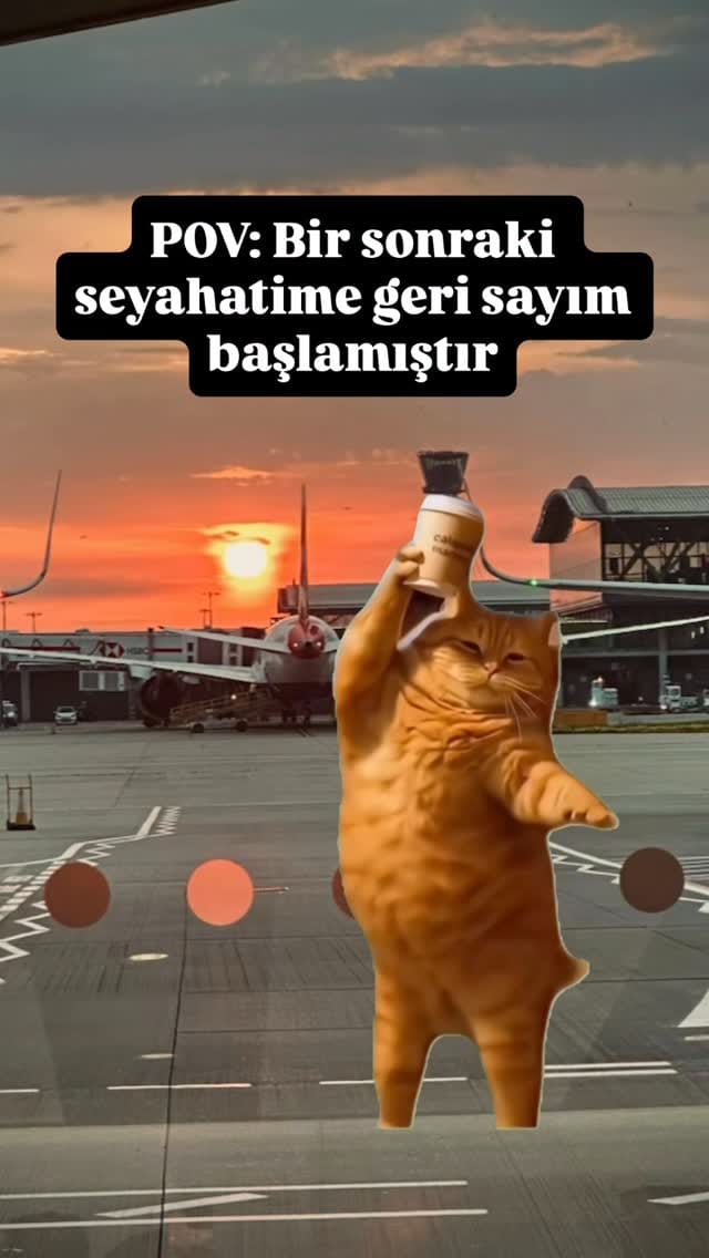Post 6 by Nihan Ugurlu on Instagram (video)