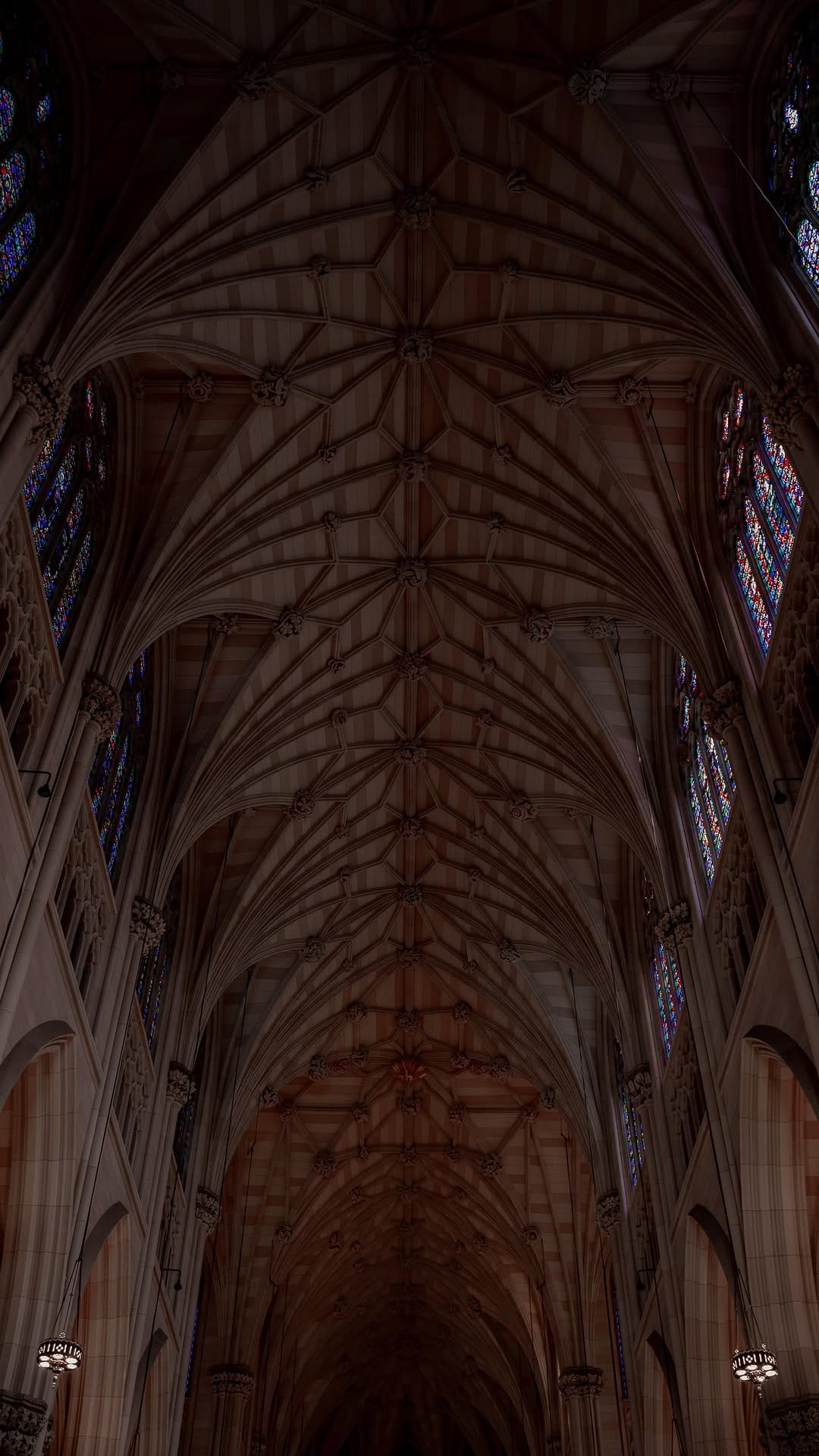 Post 2 by 𝐕𝐢𝐜𝐭𝐨𝐫𝐢𝐚 𝐖𝐡𝐢𝐭𝐞 on Instagram (video)
