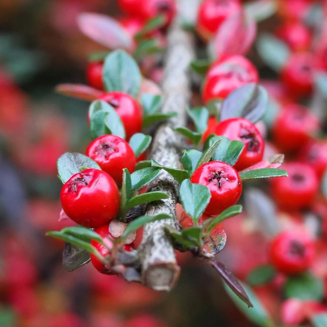 Post 8 by Kirsty on Instagram (image)