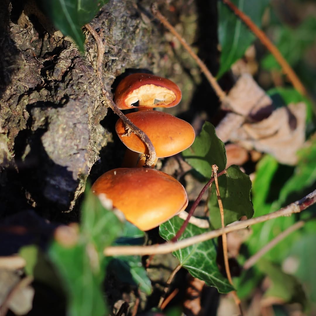 Post 6 by Kirsty on Instagram (image)