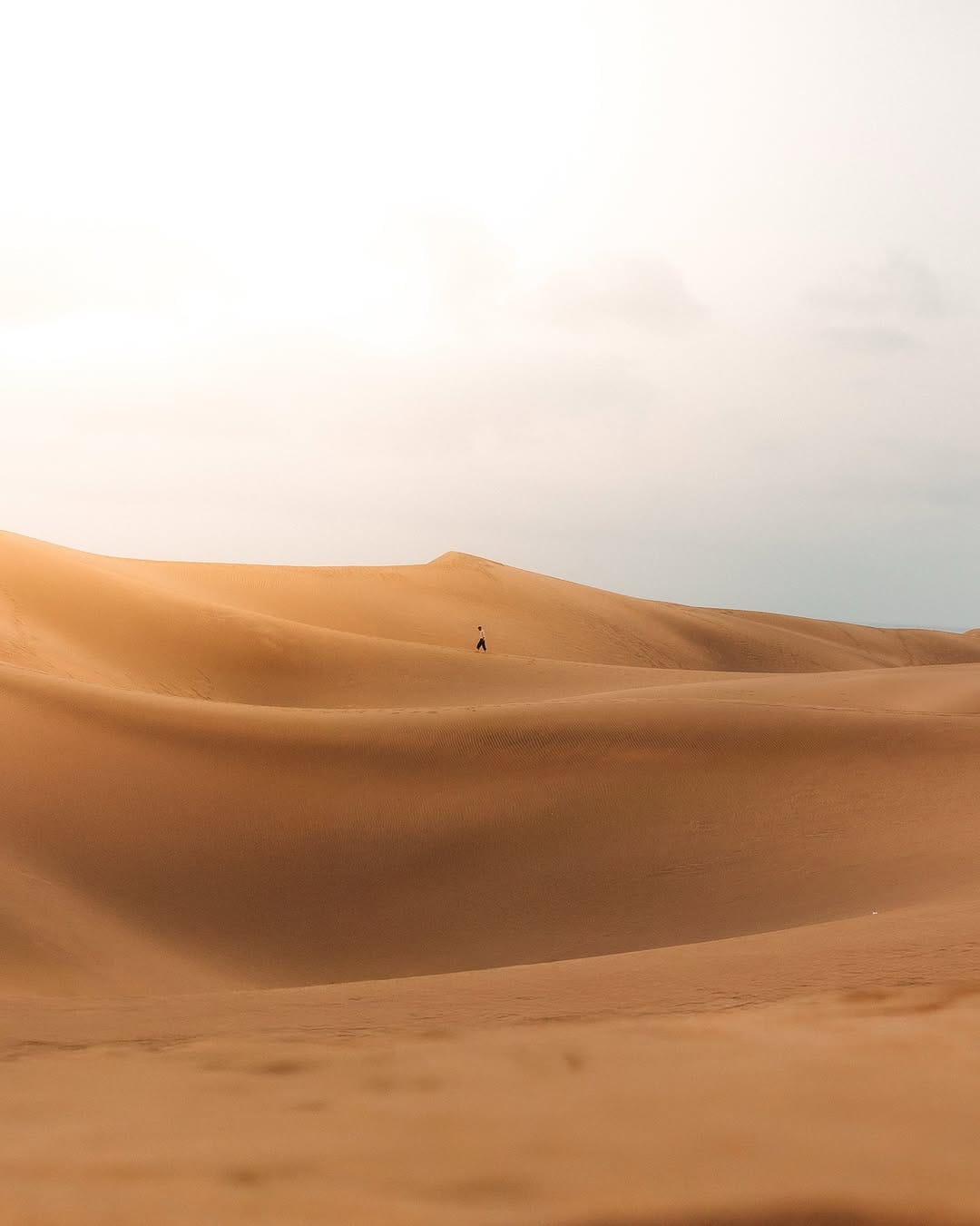 Post 7 by Mark Pickersgill on Instagram (image)