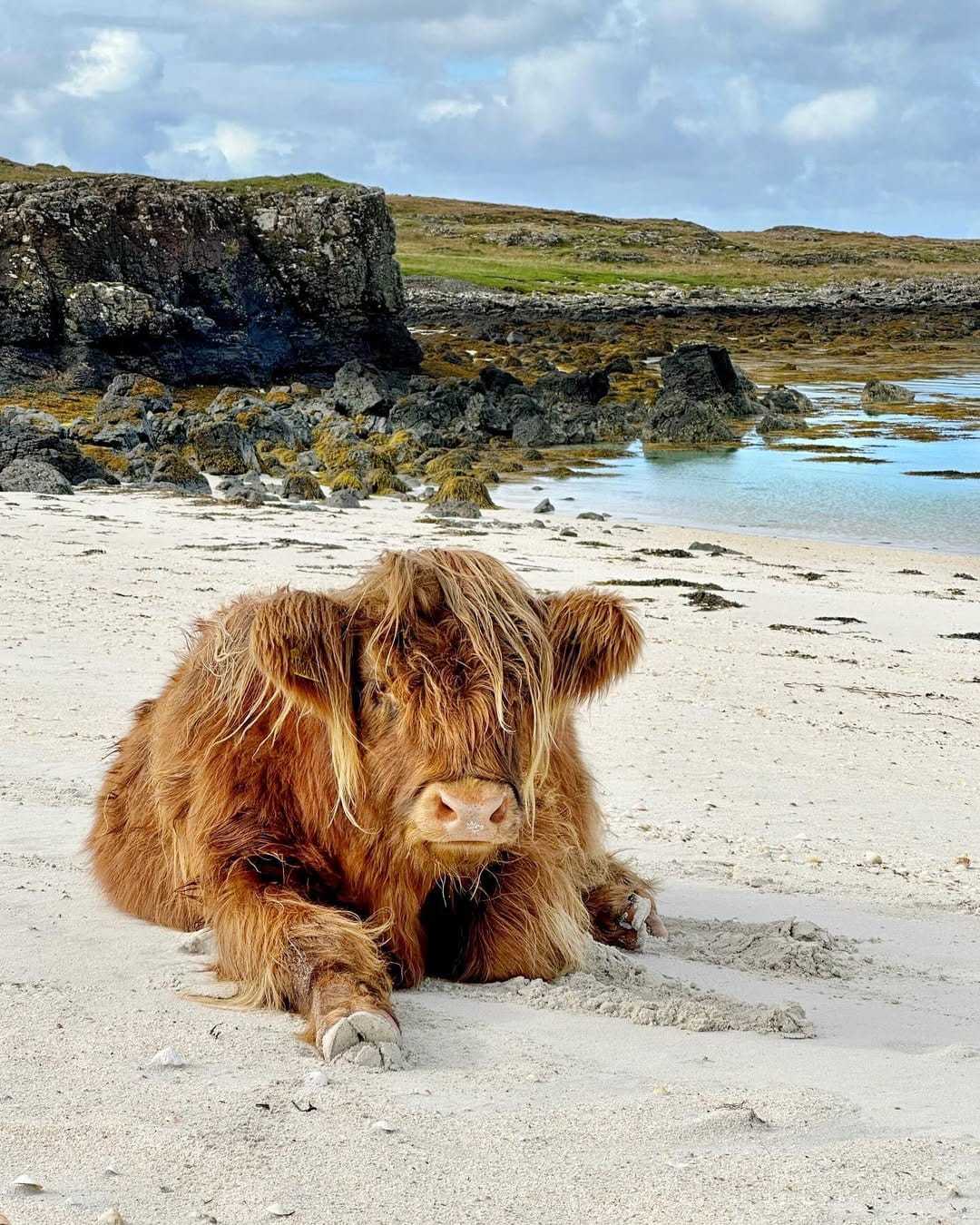 Post 8 by Scotland Travel / Alex Grant 🏴󠁧󠁢󠁳󠁣󠁴󠁿 on Instagram (image)