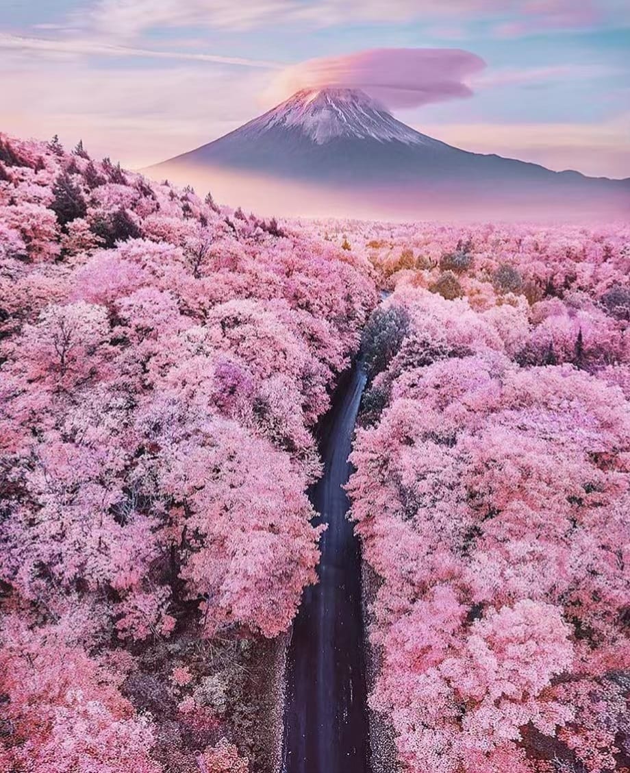 Post 8 by George | Travel & Photography on Instagram (image)