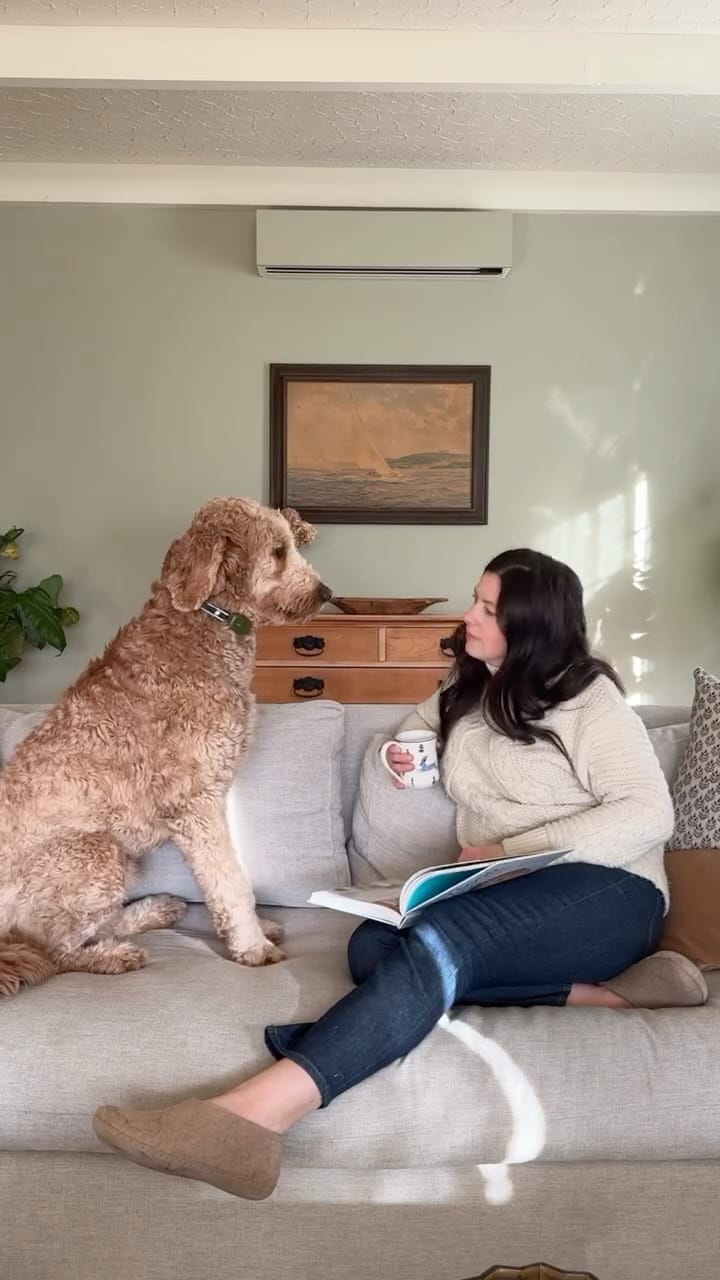 Post 2 by Katie-Rose Decoeli on Instagram (video)