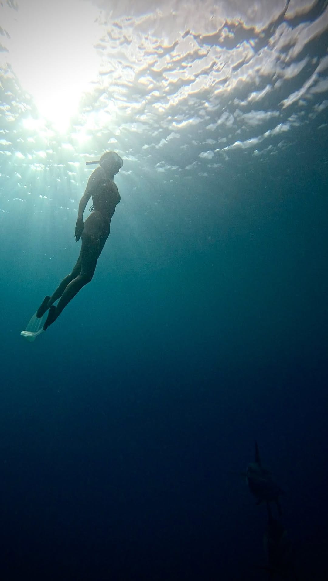 Post 2 by Shannon Sulliman on Instagram (video)