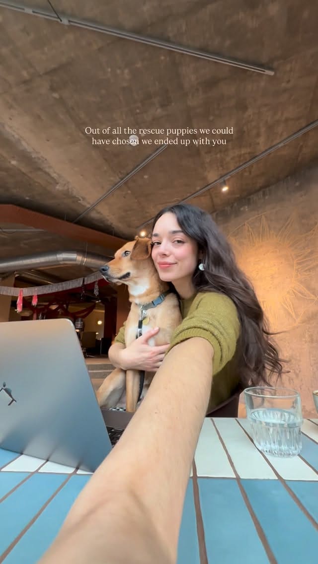 Post 8 by Lizzie • Content creator on Instagram (video)