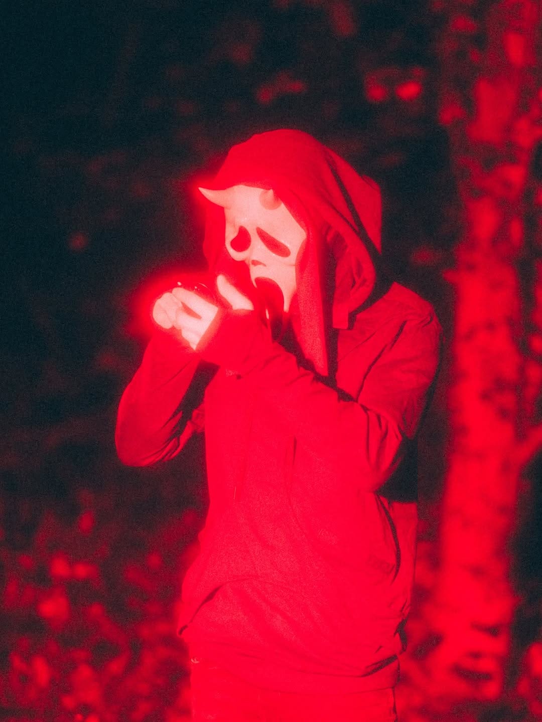 Post 10 by Darren on Instagram (image)