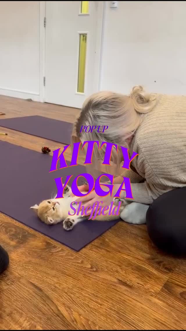 Post 5 by Kitty Yoga Manchester🐾 on Instagram (video)