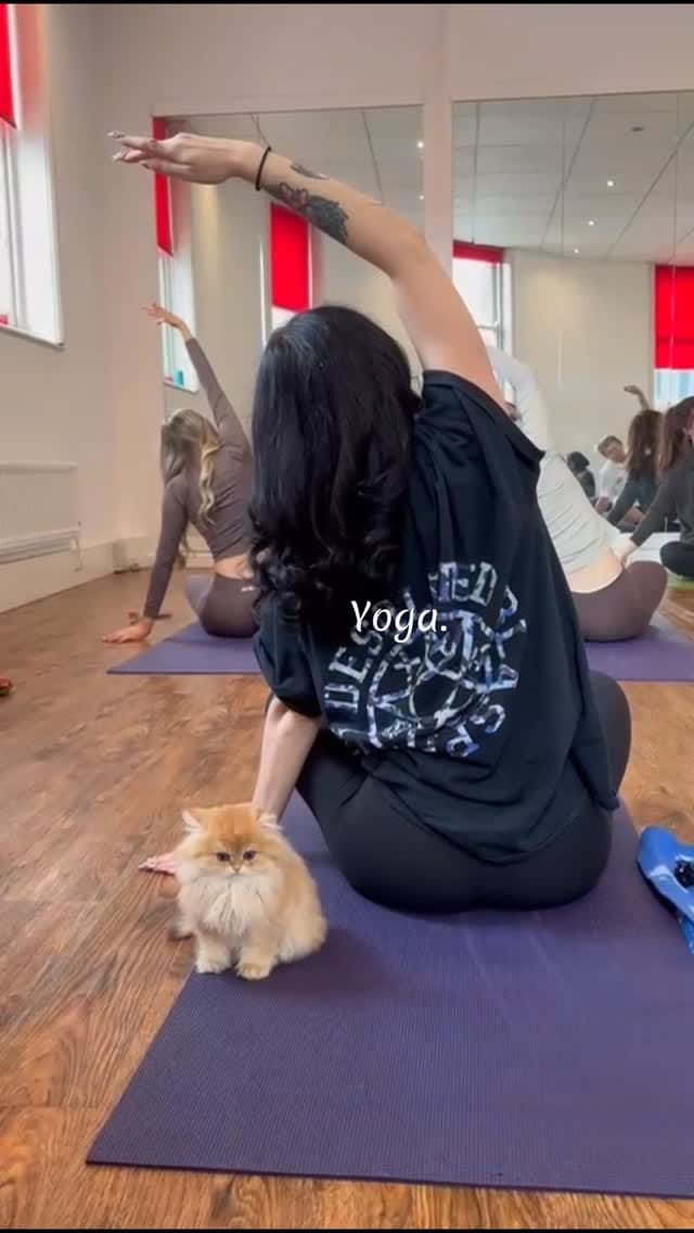 Post 4 by Kitty Yoga Manchester🐾 on Instagram (video)