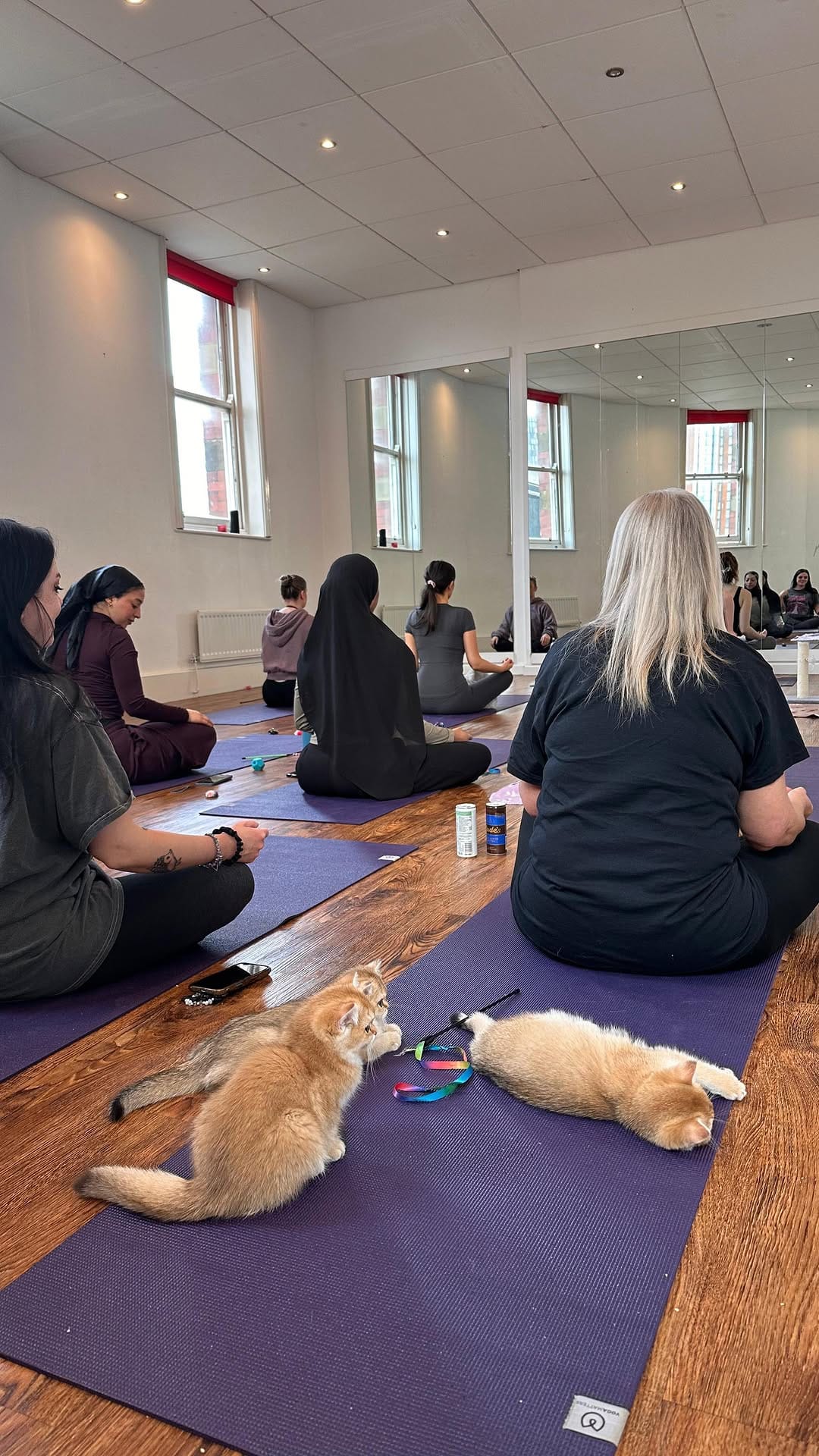 Post 7 by Kitty Yoga Manchester🐾 on Instagram (video)