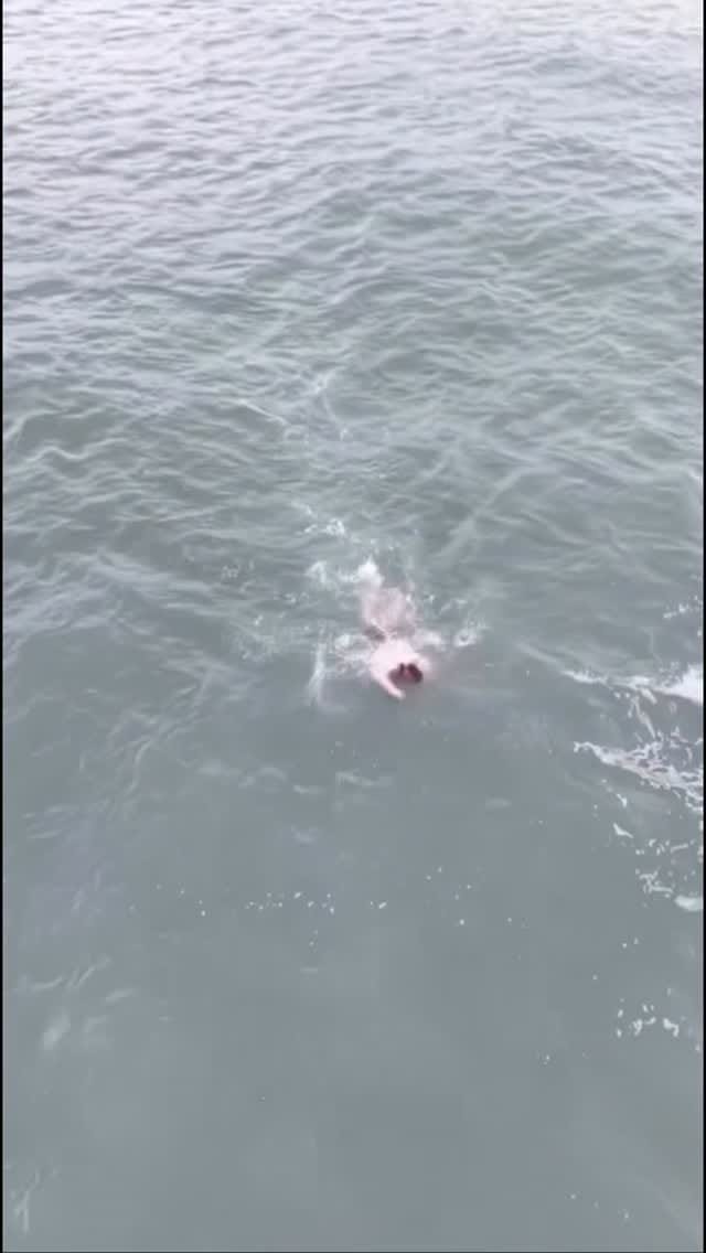Post 6 by Daragh Morgan on Instagram (video)
