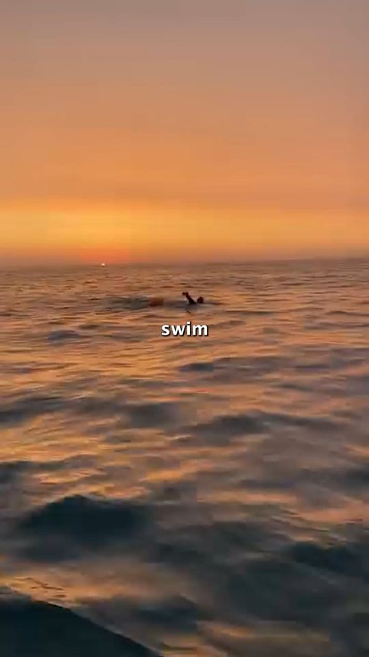 Post 3 by Daragh Morgan on Instagram (video)