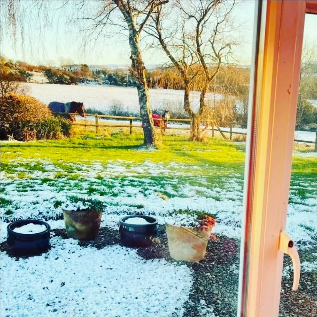 Post 1 by ✨️🌸 Joanne Morgan 🌸✨️ on Instagram (image)
