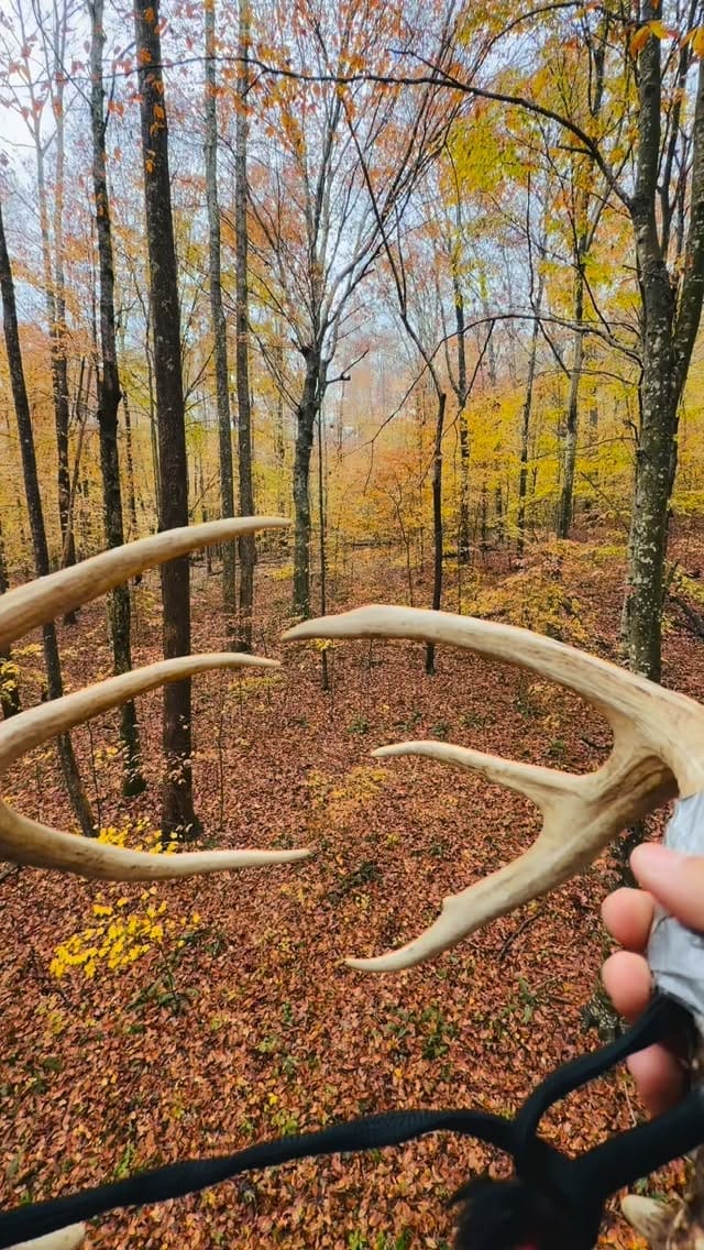 Post 2 by Winston on Instagram (video)