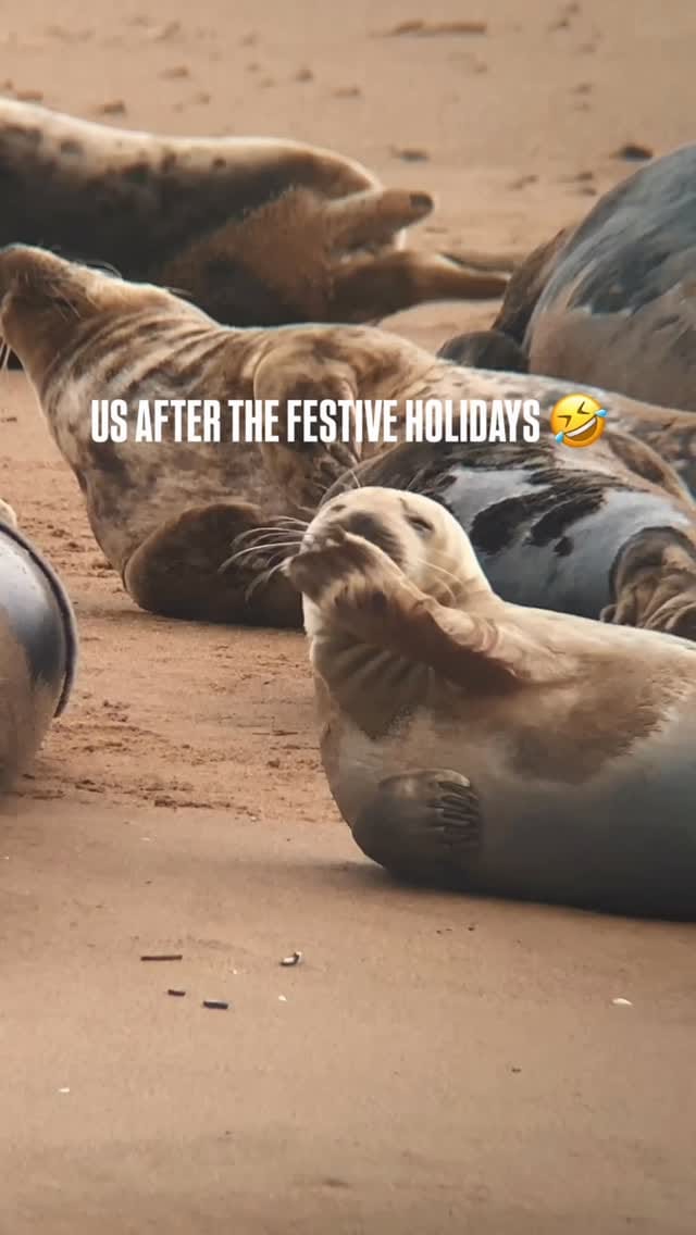 Post 3 by Luke & Zaneta on Instagram (video)
