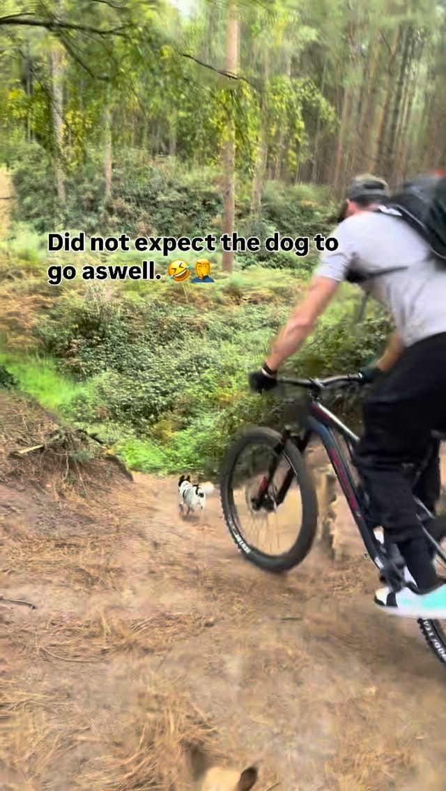 Post 7 by Life Style and Movement Coach on Instagram (video)