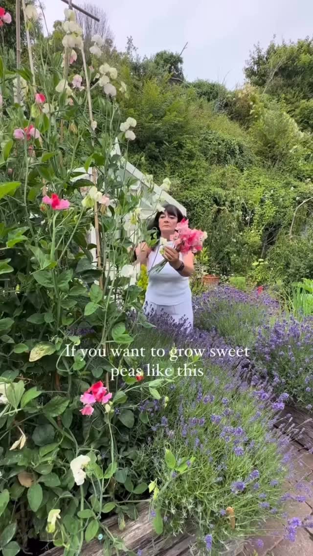 Post 7 by Serena Young on Instagram (video)