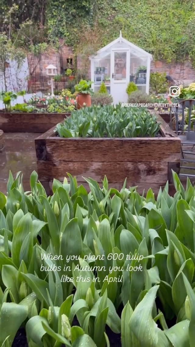 Post 6 by Serena Young on Instagram (video)