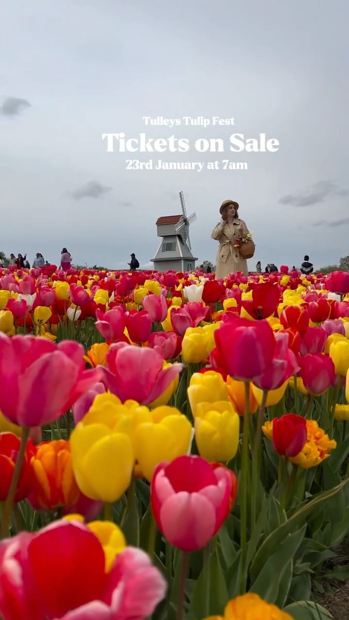 Post 3 by Doina Lungu | UK Travel blogger on Instagram (video)