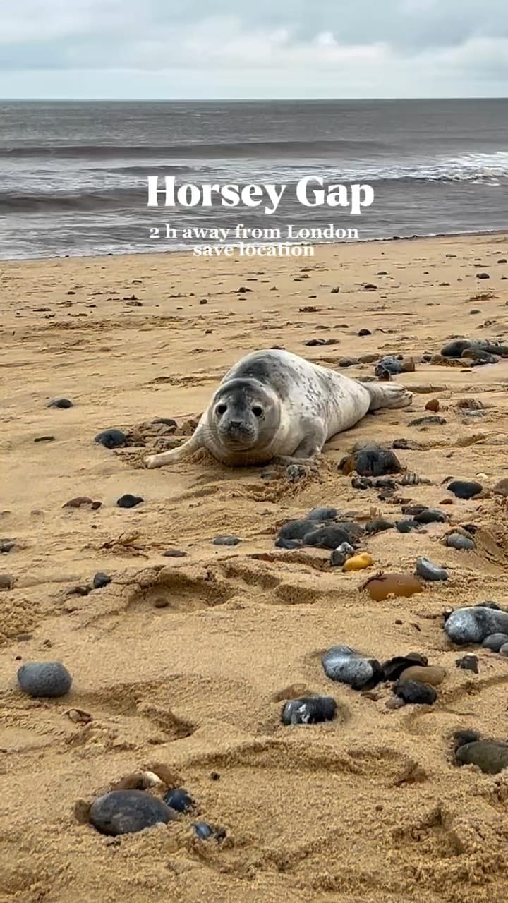 Post 6 by Doina Lungu | UK Travel blogger on Instagram (video)