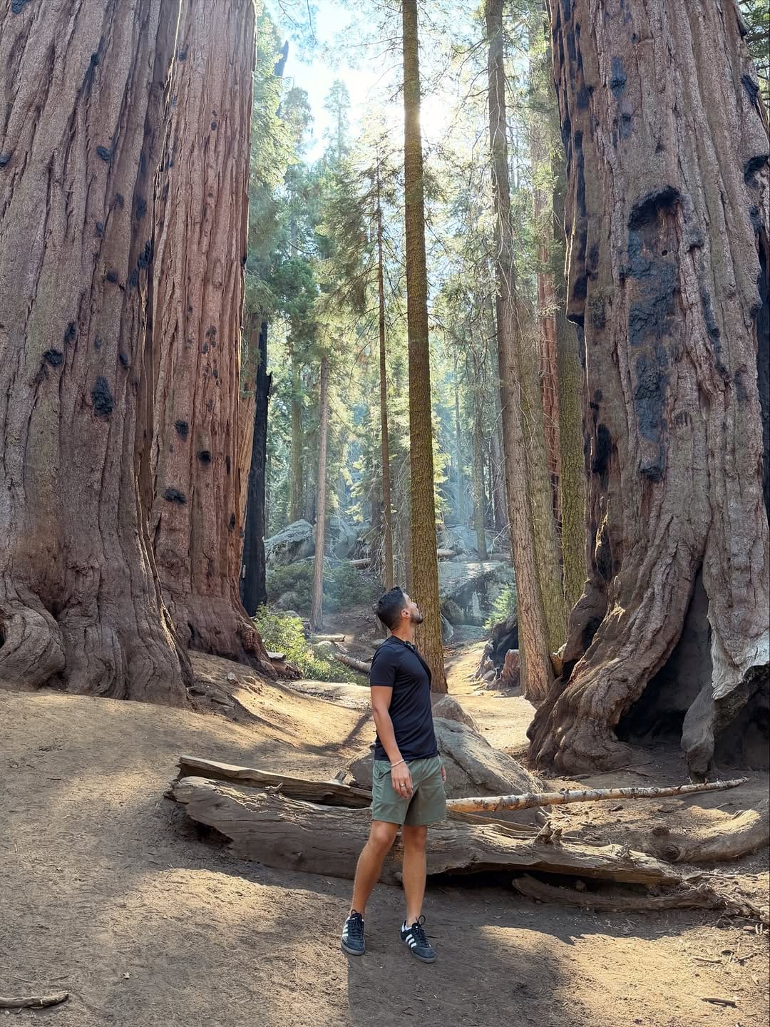 Post 2 by Salvo | Mindful Living on Instagram (carousel)