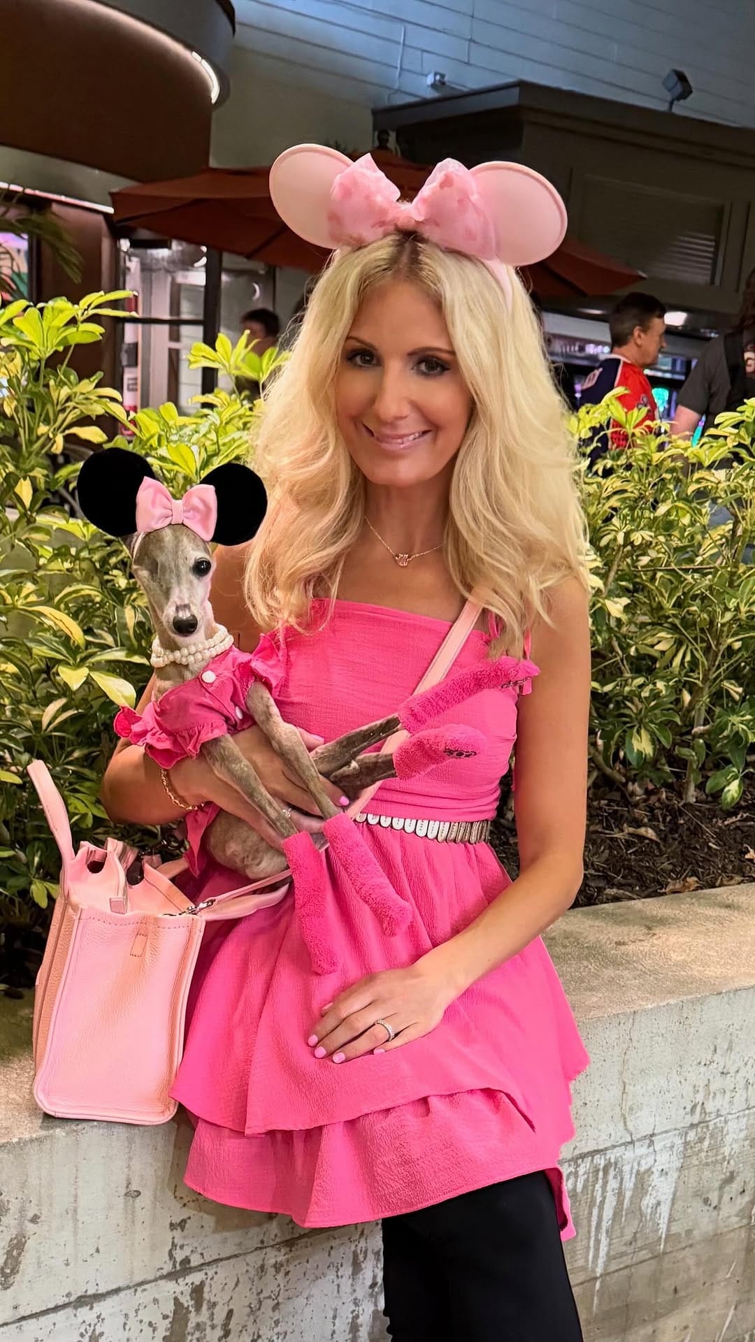 Post 1 by Chelsea Chic Senior Italian Greyhound on Instagram (video)