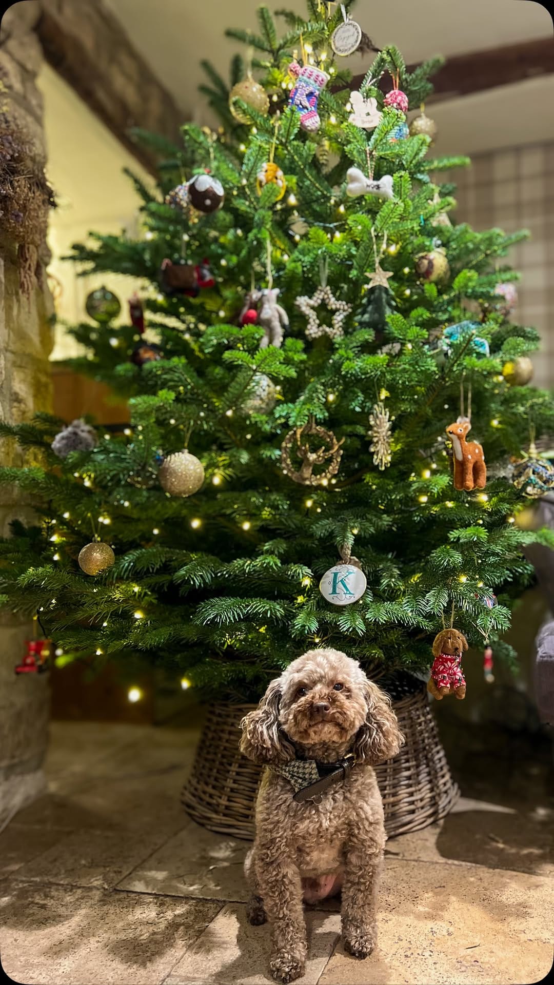 Post 7 by What Kerry Does | Cotswolds Lifestyle & Food on Instagram (video)