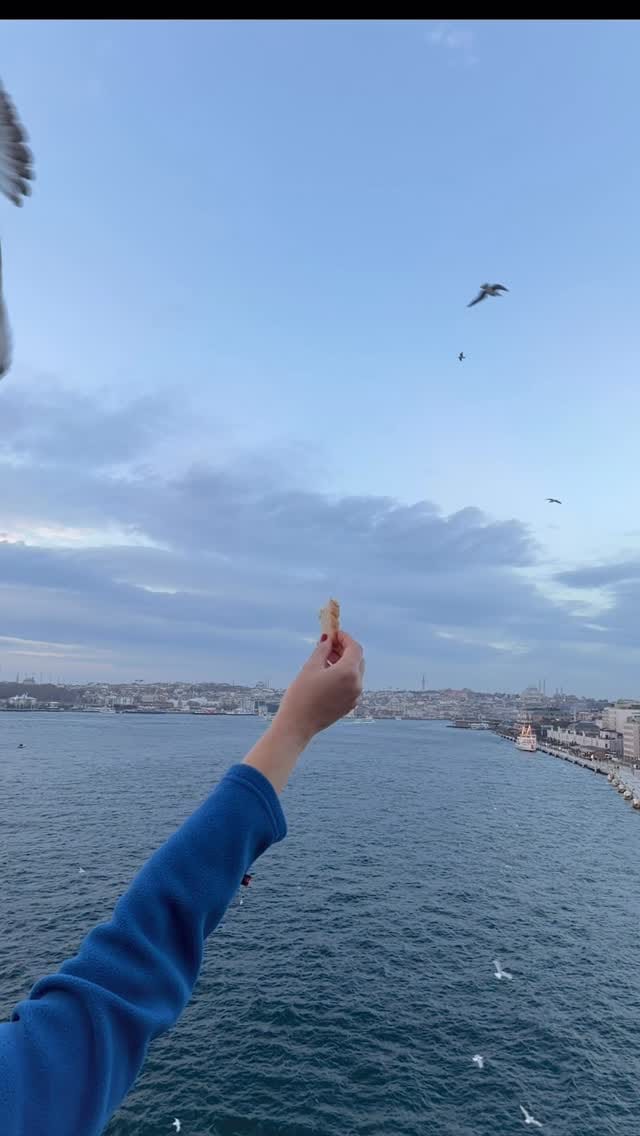 Post 1 by Mehmet E. Tiryakioğlu on Instagram (video)