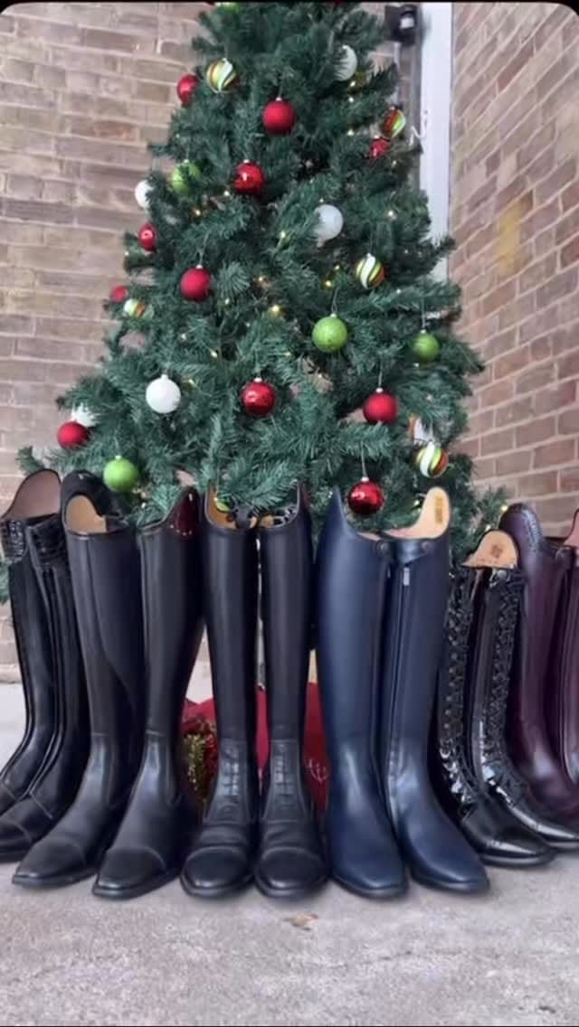 Post 9 by Equestrian Fashion Outfitters on Instagram (video)